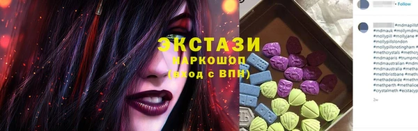 хмурый Аркадак