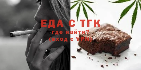 хмурый Аркадак