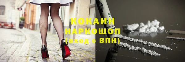хмурый Аркадак