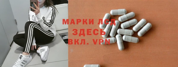 хмурый Аркадак