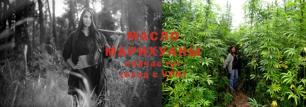 хмурый Аркадак
