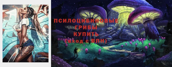 спайс Арсеньев