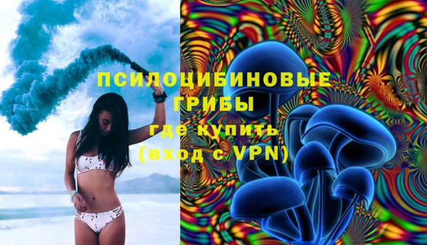 Альфа ПВП Армянск