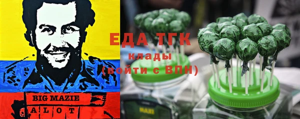 хмурый Аркадак
