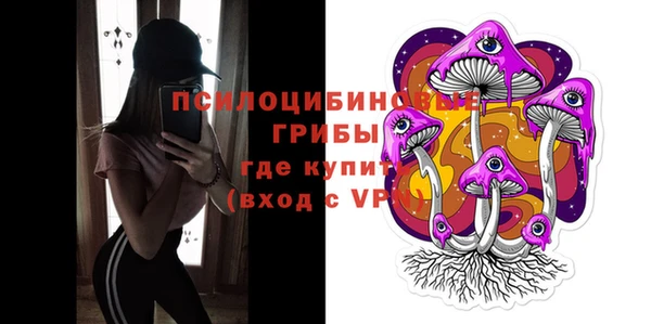 спайс Арсеньев
