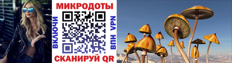 закладки  МЕГА ТОР  Псилоцибиновые грибы Psilocybe  Ликино-Дулёво 